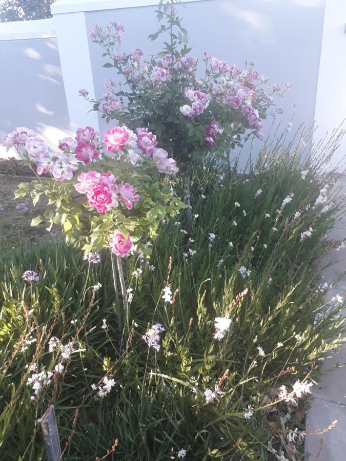 The Fancy Cactus Lejlighed Colesberg Eksteriør billede